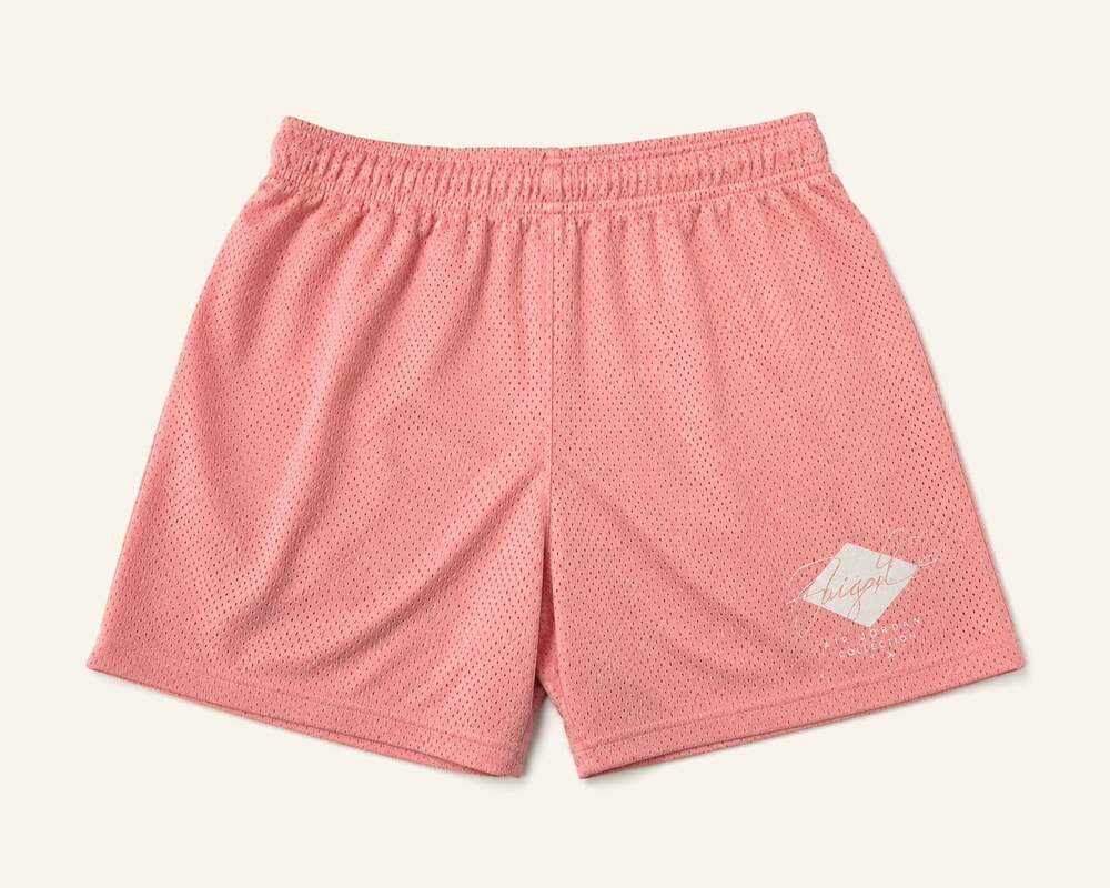 NWOT Air Jordan Flight Collection Pink Mesh Shorts Y2K XL Rare